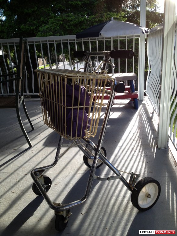 Chrome Walker with Cover for Basket