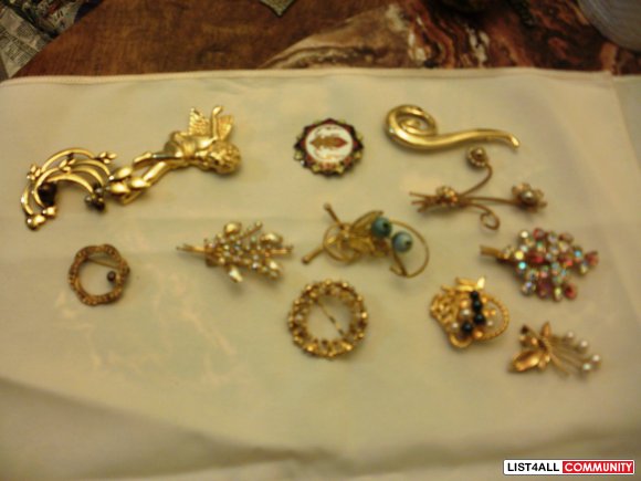 Costume Jewellery  various brooches
