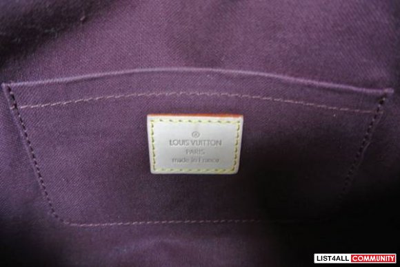Louis Vuitton LV Monogram Favorite MM Clutch/Sidecarry