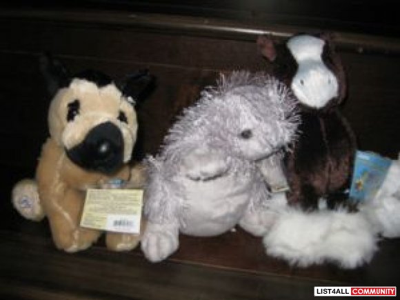 5 Webkinz collected.large size all for $ 50