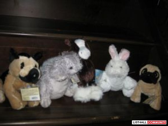 5 Webkinz collected.large size all for $ 50