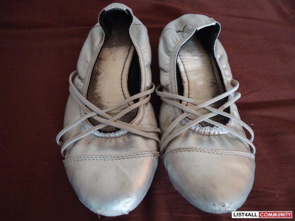 silver pointe shoes