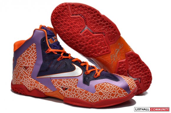 lebron 11 box