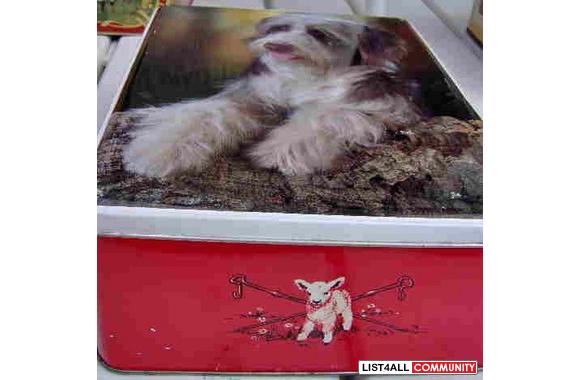   -  Vintage collectible tins:   William Crawford 