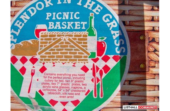 Food for thought, "A picnic" why not? Pl