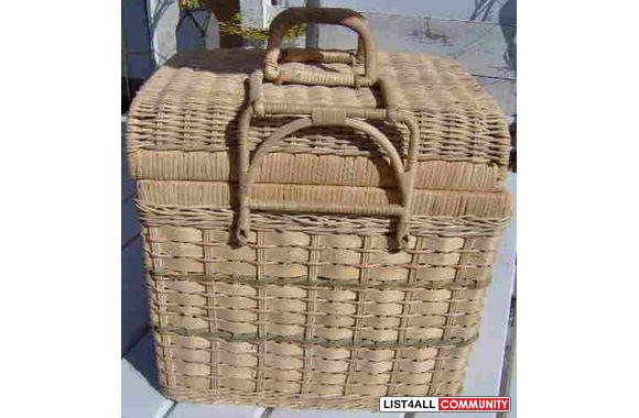 Food for thought, "A picnic" why not? Pl