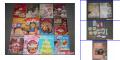 Wilton Cake Decorating Books