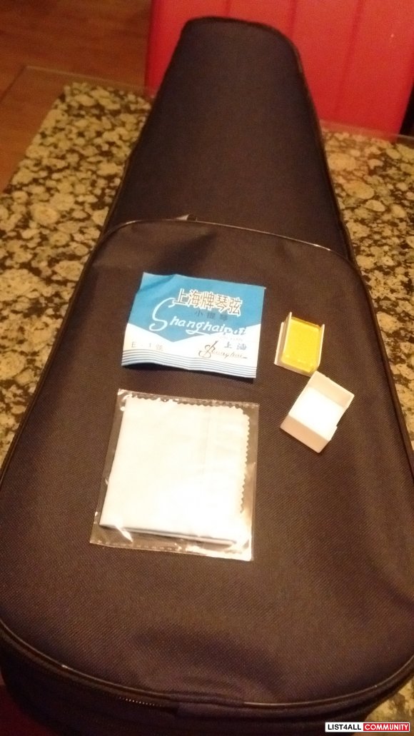 Brand New Violin 4/4 - $165 (PORT COQUITLAM)
