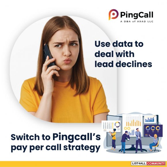 Get Credit Card Calls and Sales Calls Fraud Detection tools from PingC
