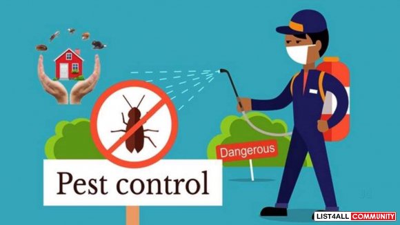 Cheap Pest Control Brisbane