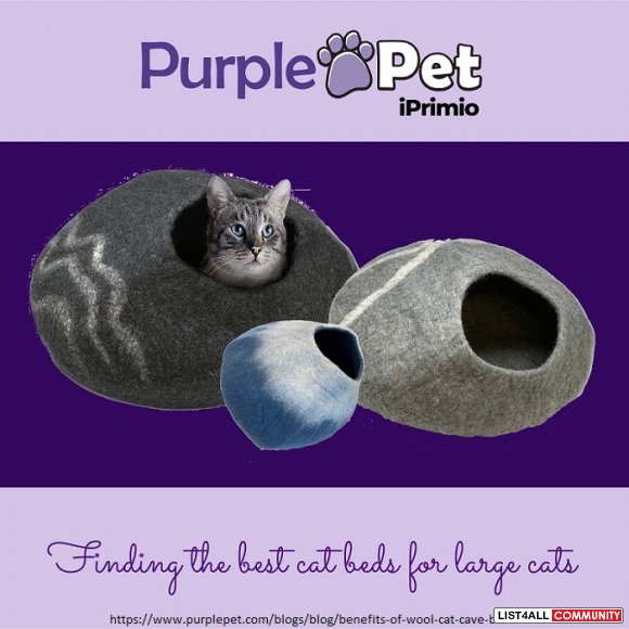 Buy Wool Cat Cave Bed for Large Cat - Purple Pet