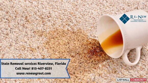 Affordable Carpet Cleaning Riverview, Tampa, Brandon & Florida