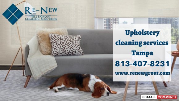 Affordable Upholstery Cleaning Services Provider in Riverview, Florida