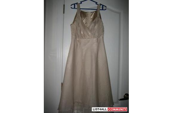 Chiffon Over Satin Formal DressSTUNNING SHIMMERING CHAMPAGNE TAUPE CHI