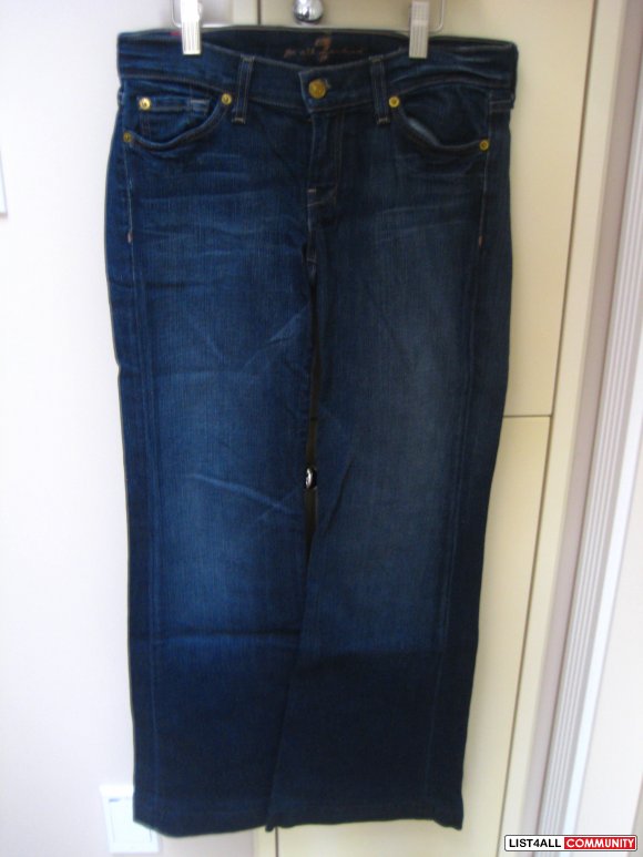 AE Stretch Skinny Flare Jeans