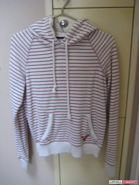 AE Striped Hoodie