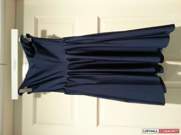 American Apparel Nylon Figure Skater Dress