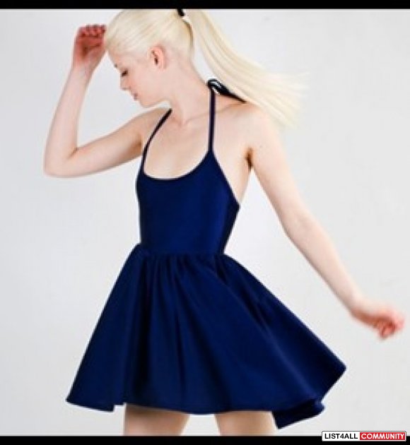 American Apparel Nylon Figure Skater Dress