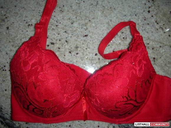 Brand New Red Patterned Lace Padded Push Up Bra
