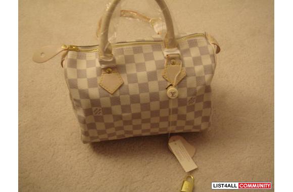 Damier Azur or Monogram Speedy 25:- Damier Monogra