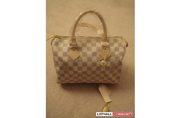 Damier Azur or Monogram Speedy 25:- Damier Monogra
