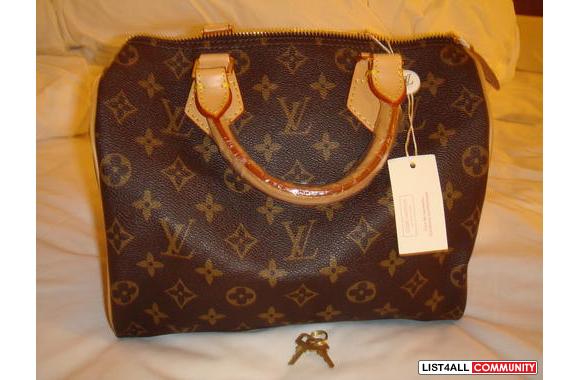 Damier Azur or Monogram Speedy 25:- Damier Monogra