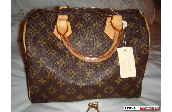 Damier Azur or Monogram Speedy 25:- Damier Monogra