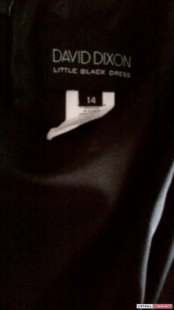 David Dixon Little Black Dress - NWT