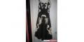 Betsey Johnson Evening black and white dress
