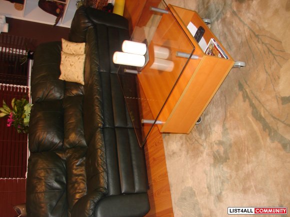 Reclyning Leather Couch (3 seats) Wool area rug & small table