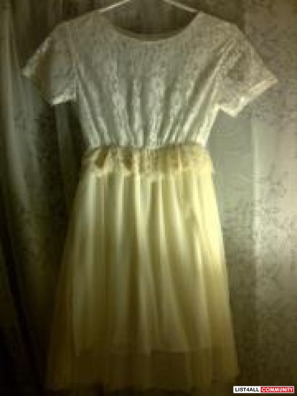Chiffon & Lace Dress