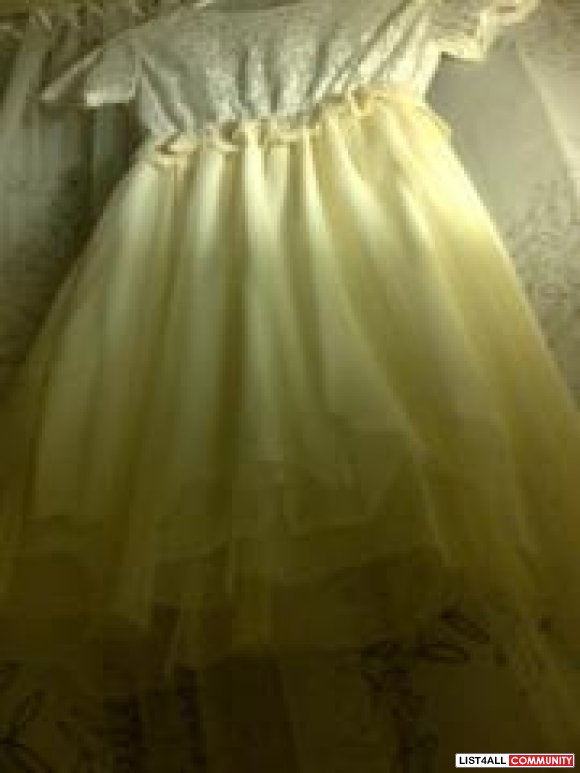 Chiffon & Lace Dress