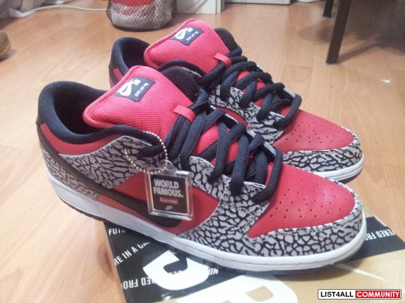 rare nike sb