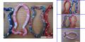 Special Patterned Fish Shape Hook - Decorative