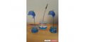 DOLPHIN PHOTO CLIPS