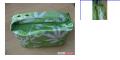 ~H20+ white/green hawaiian purse/makeup bag