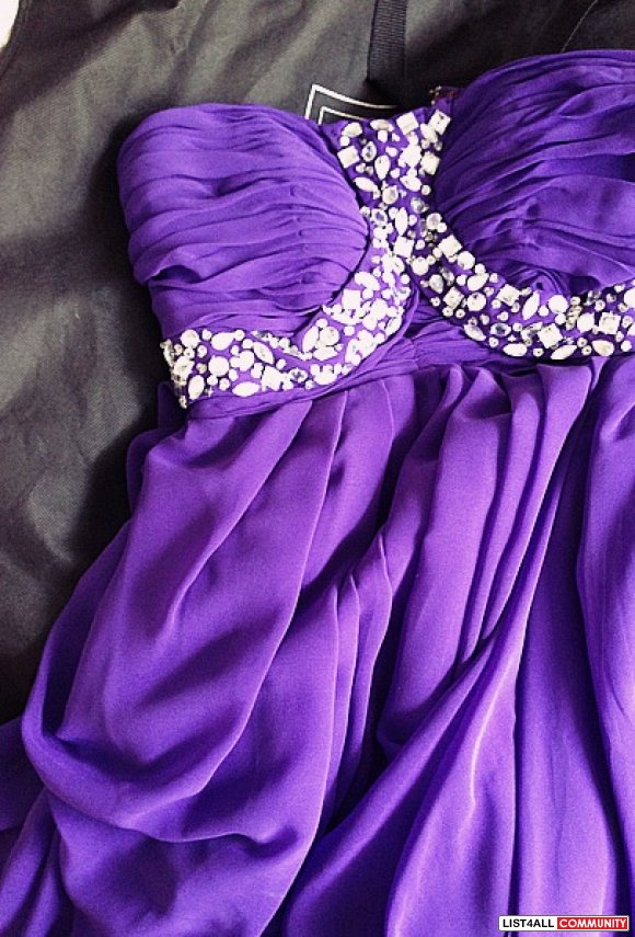 Purple Gown/Prom Dress