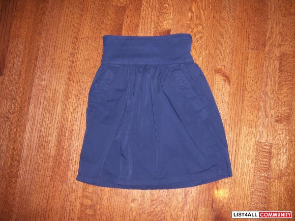 Zara Navy Skirt