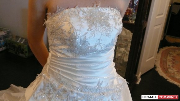 Gorgeous Brand New Wedding Dress (reduced)