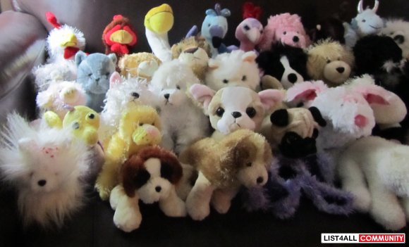 different webkinz