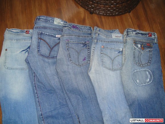 Dish Jeans - Size 27