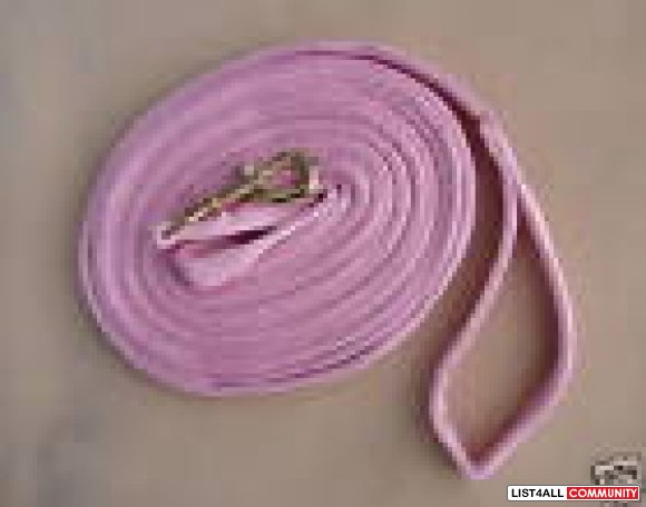 Pink stretchy longe line