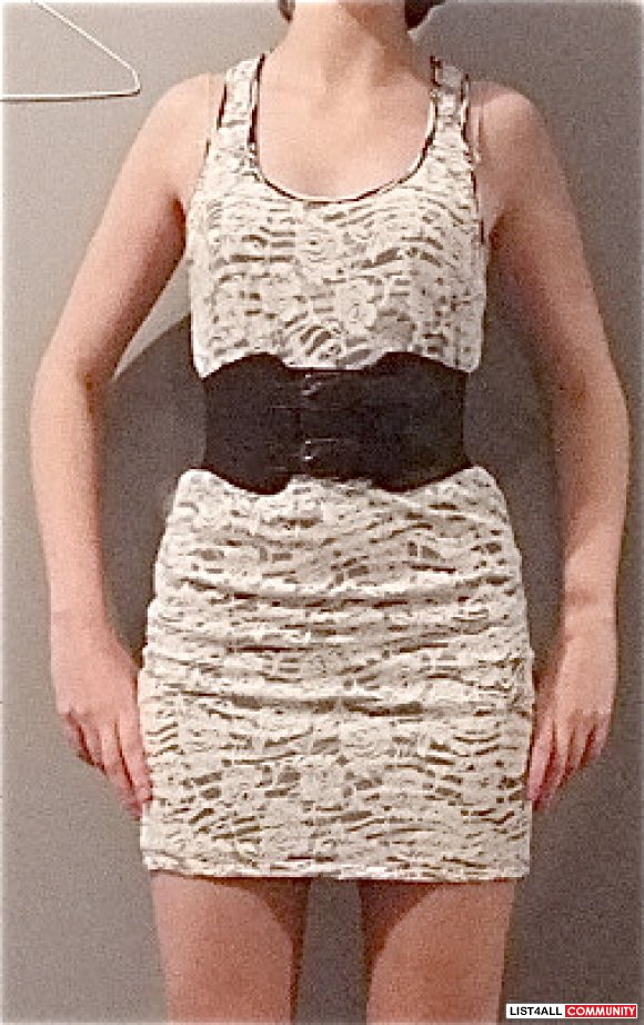Fitted Zebra Print Dress with Lace Overlay SALE$10